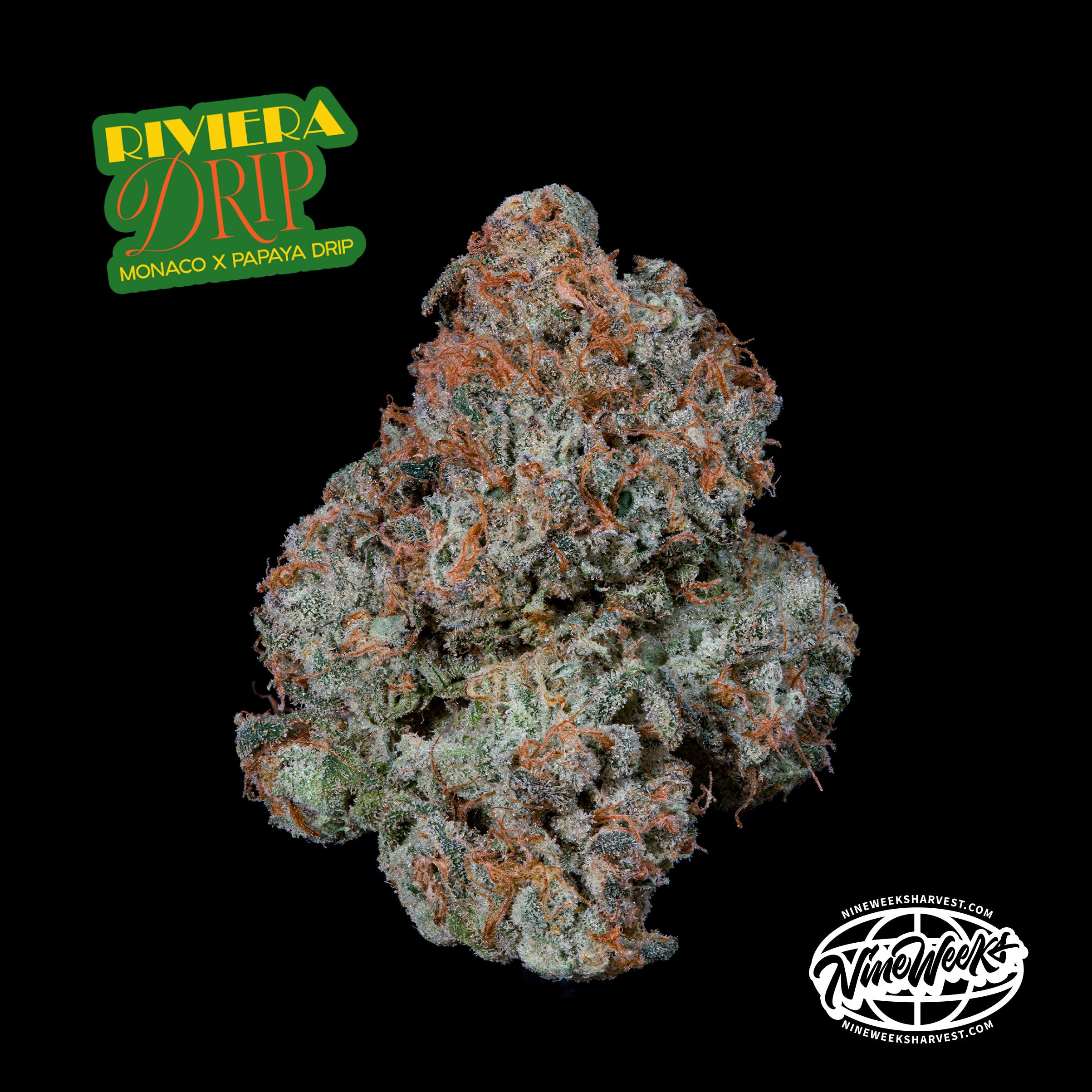 Riviera Drip