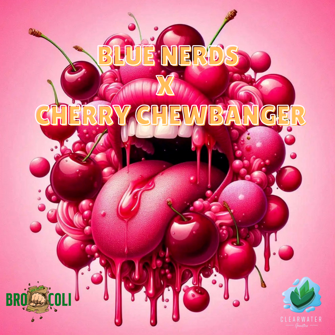 Blue Nerds x Cherry Chewbanger