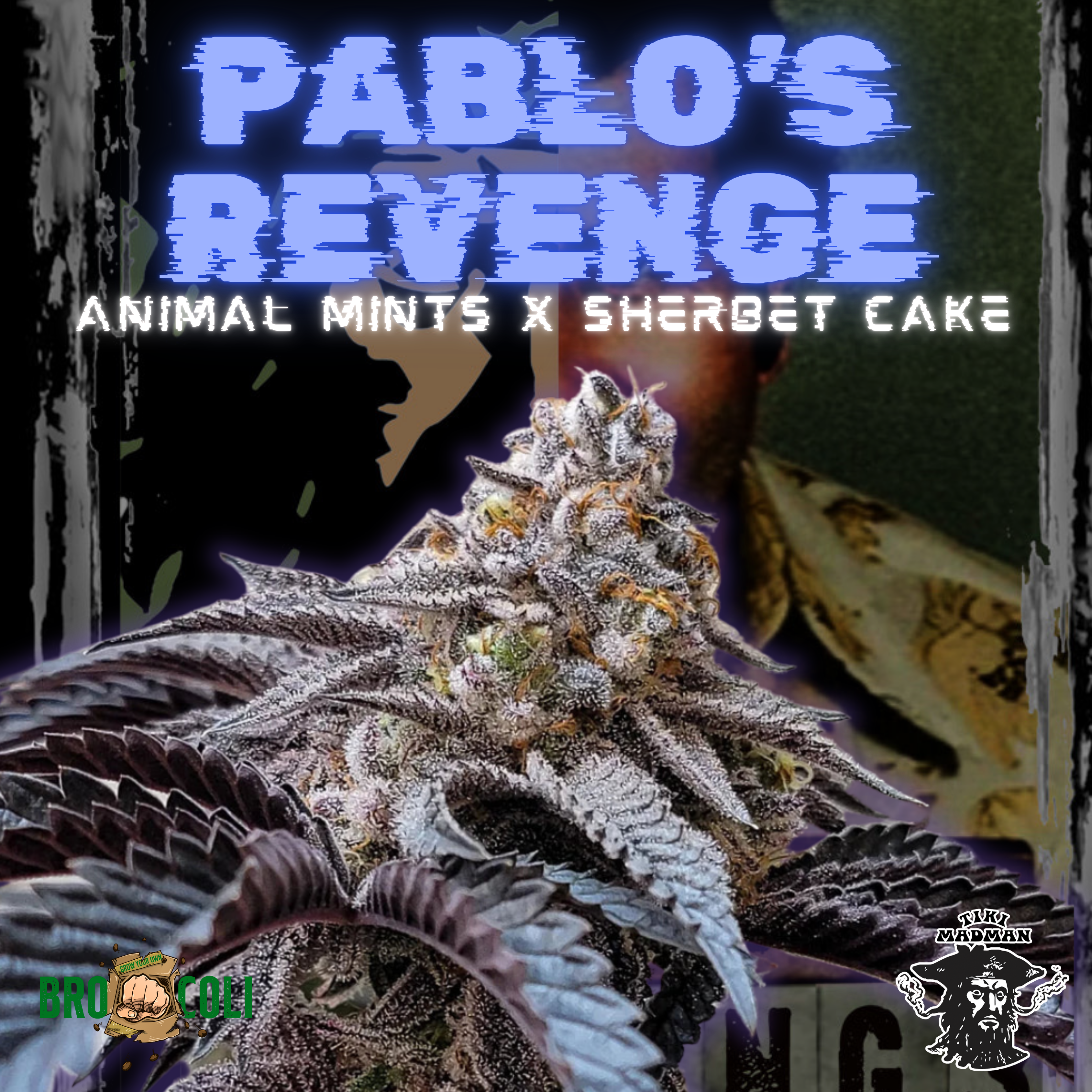Pablo's Revenge