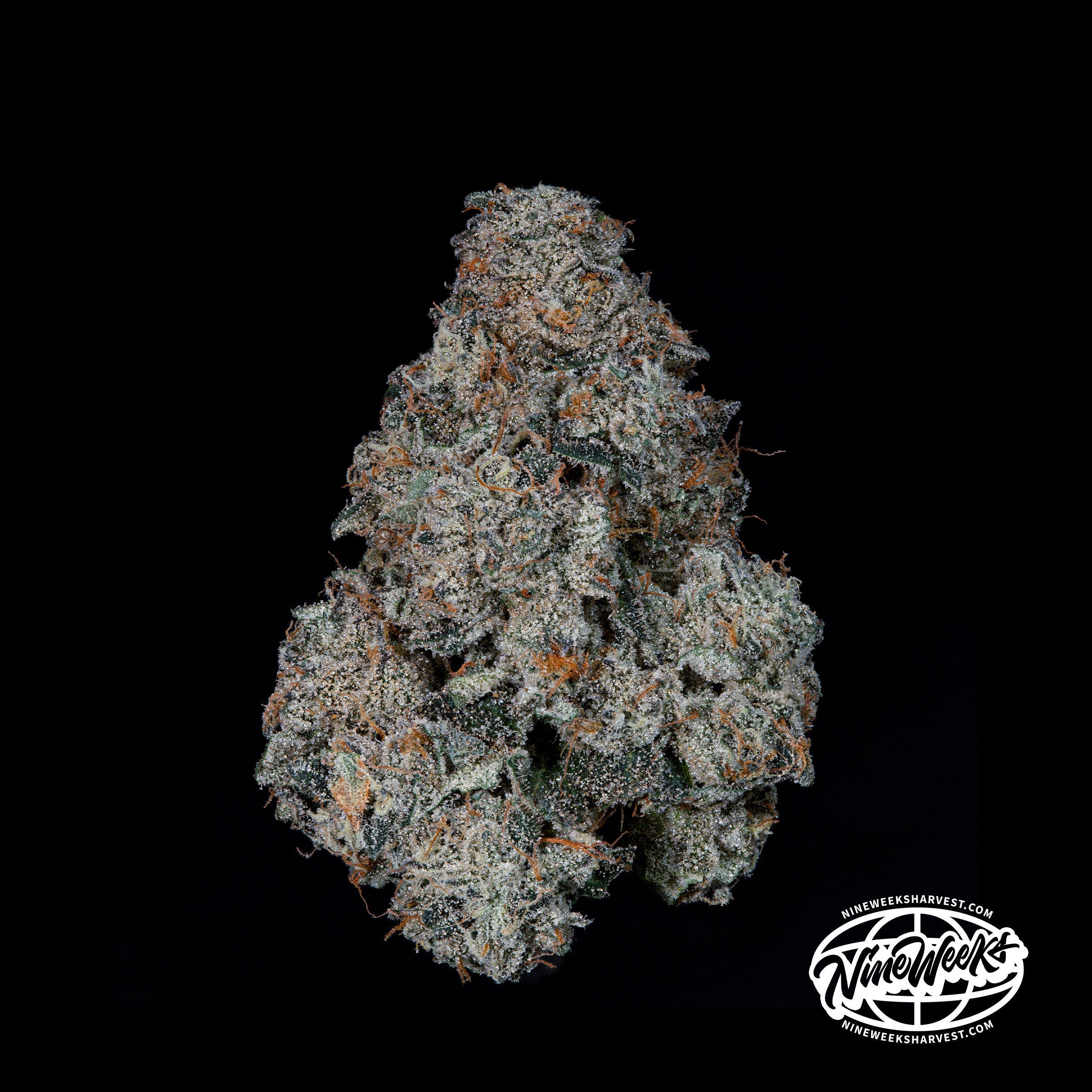 Grape Pak