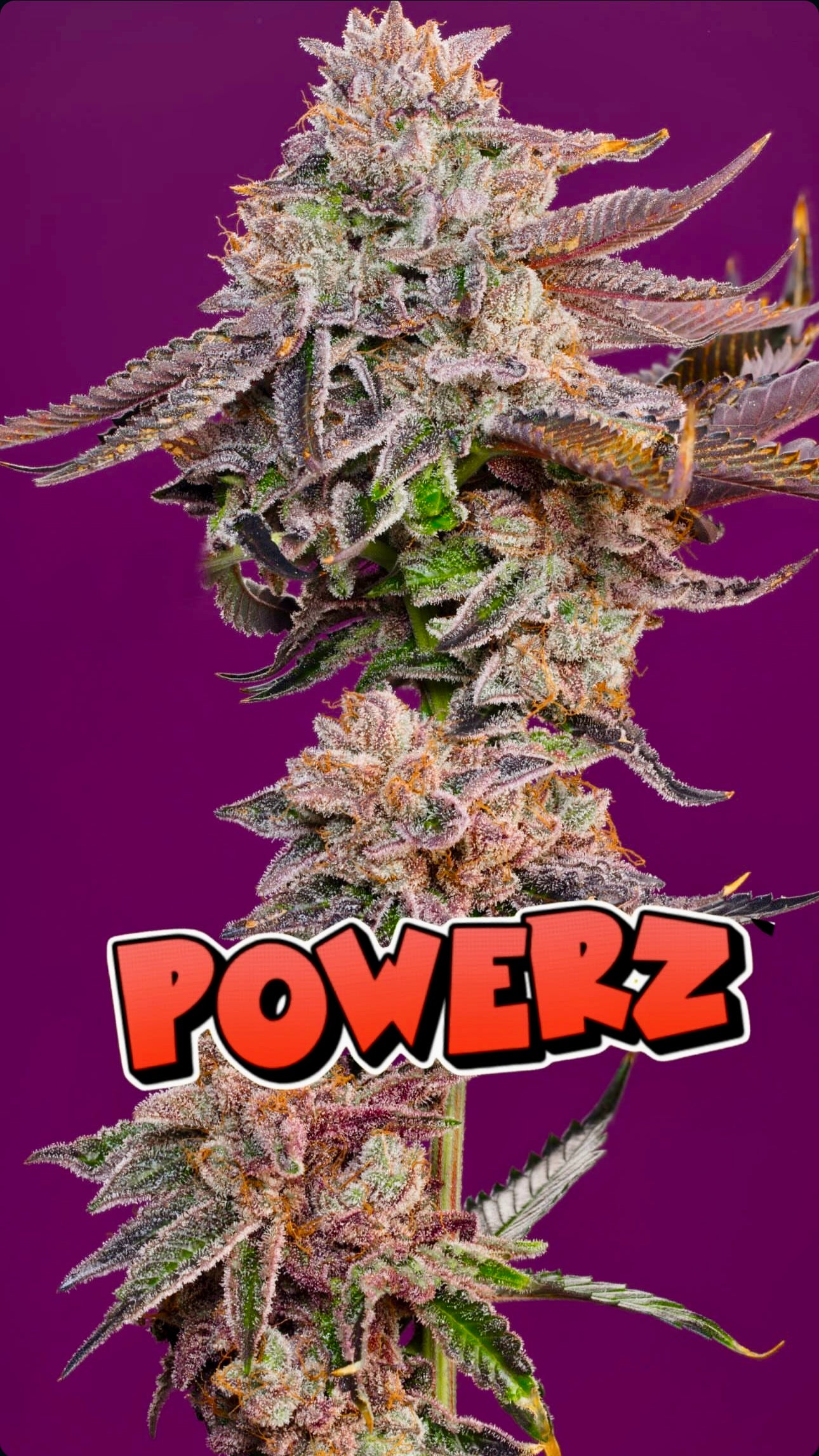 Powerz