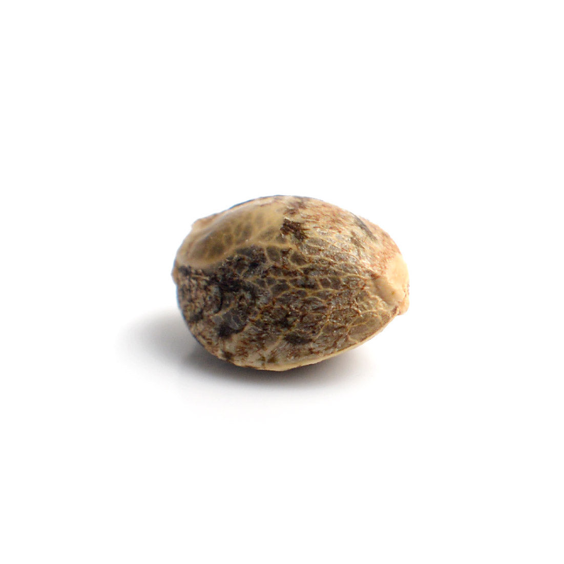 Chunky Cookies