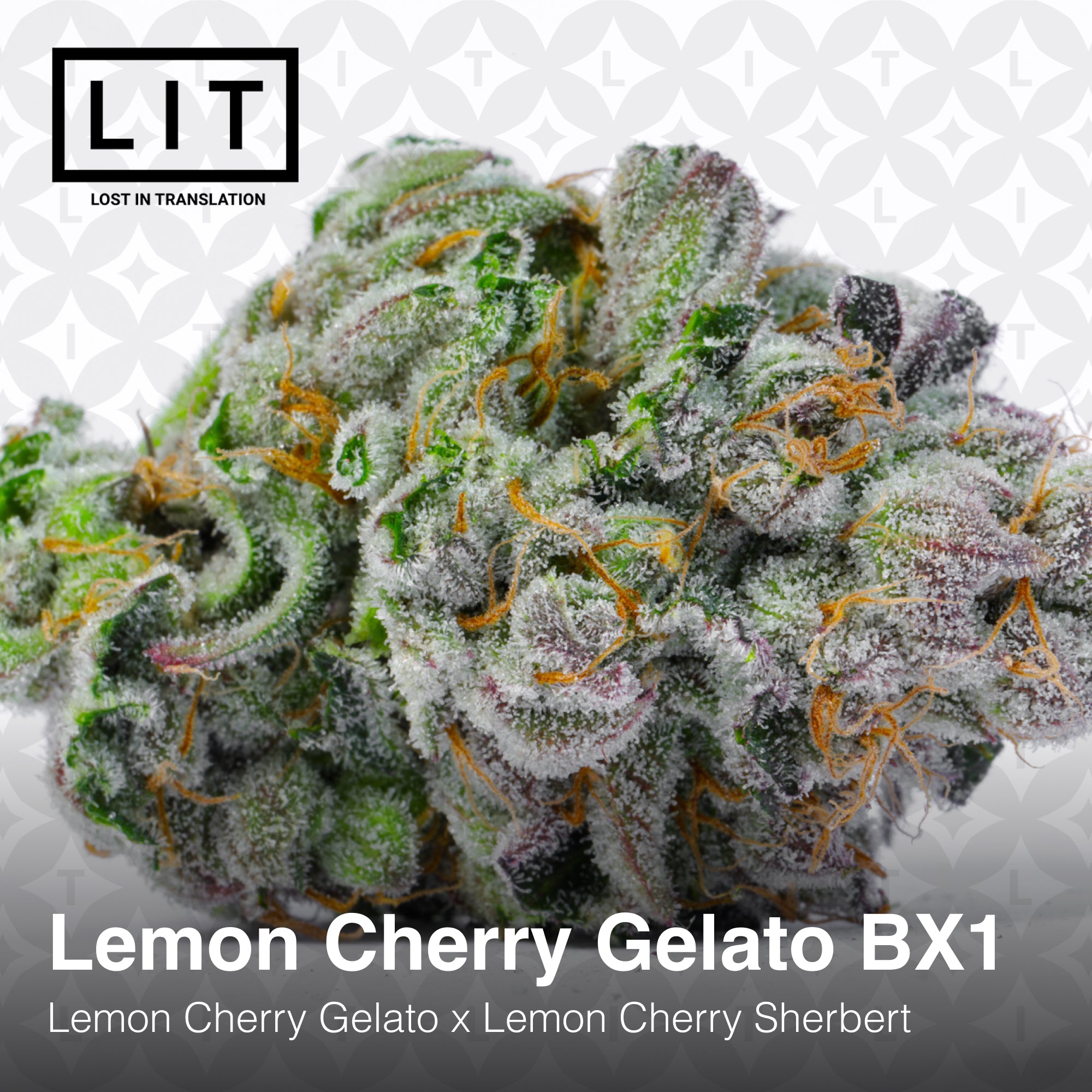 Lemon Cherry Gelato BX1