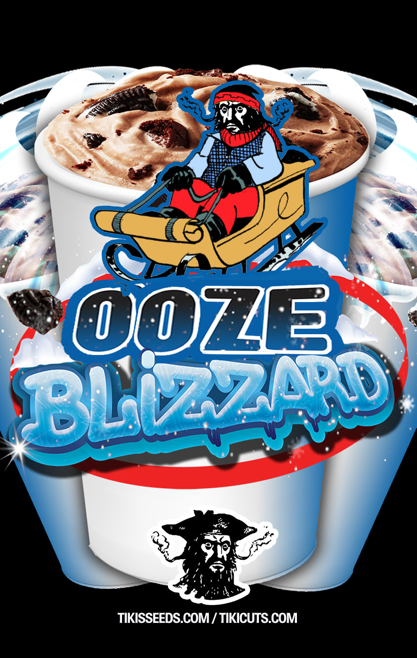 Ooze Blizzard F2