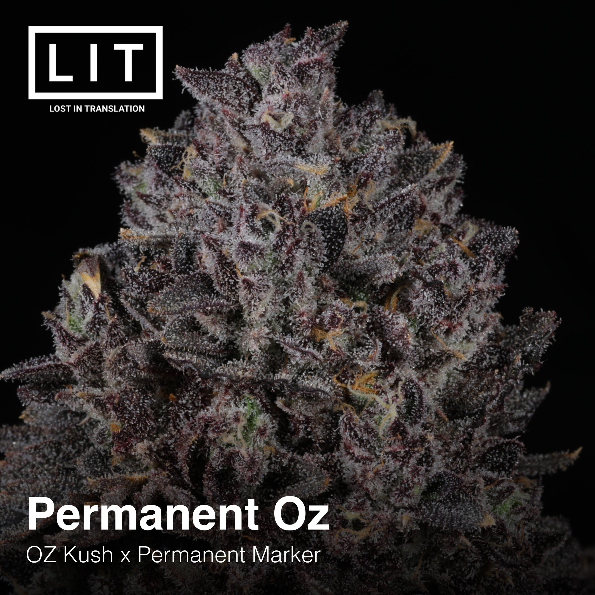 Permanent Oz