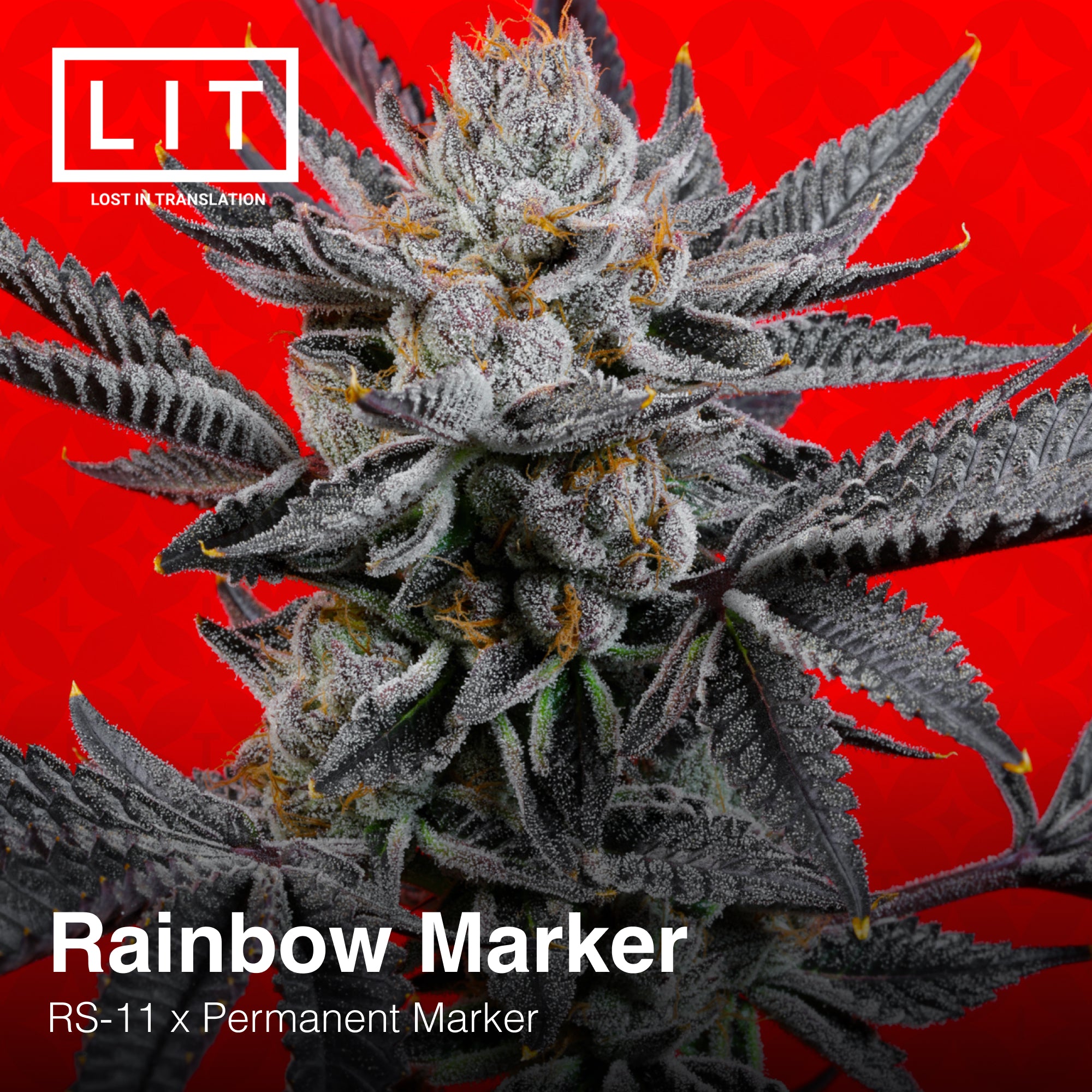 Rainbow Marker