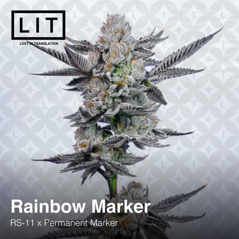 Rainbow Marker