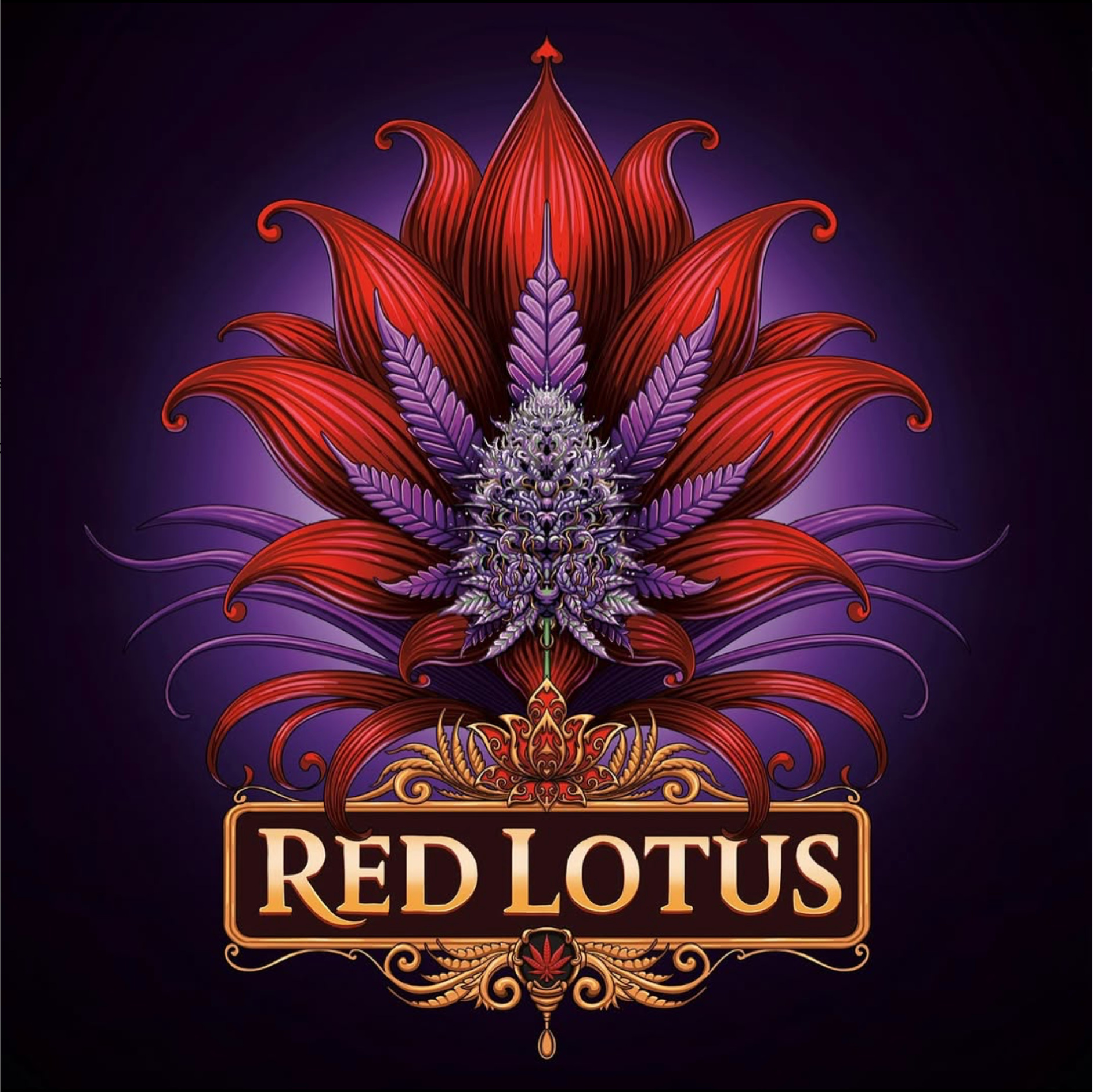 Red Lotus