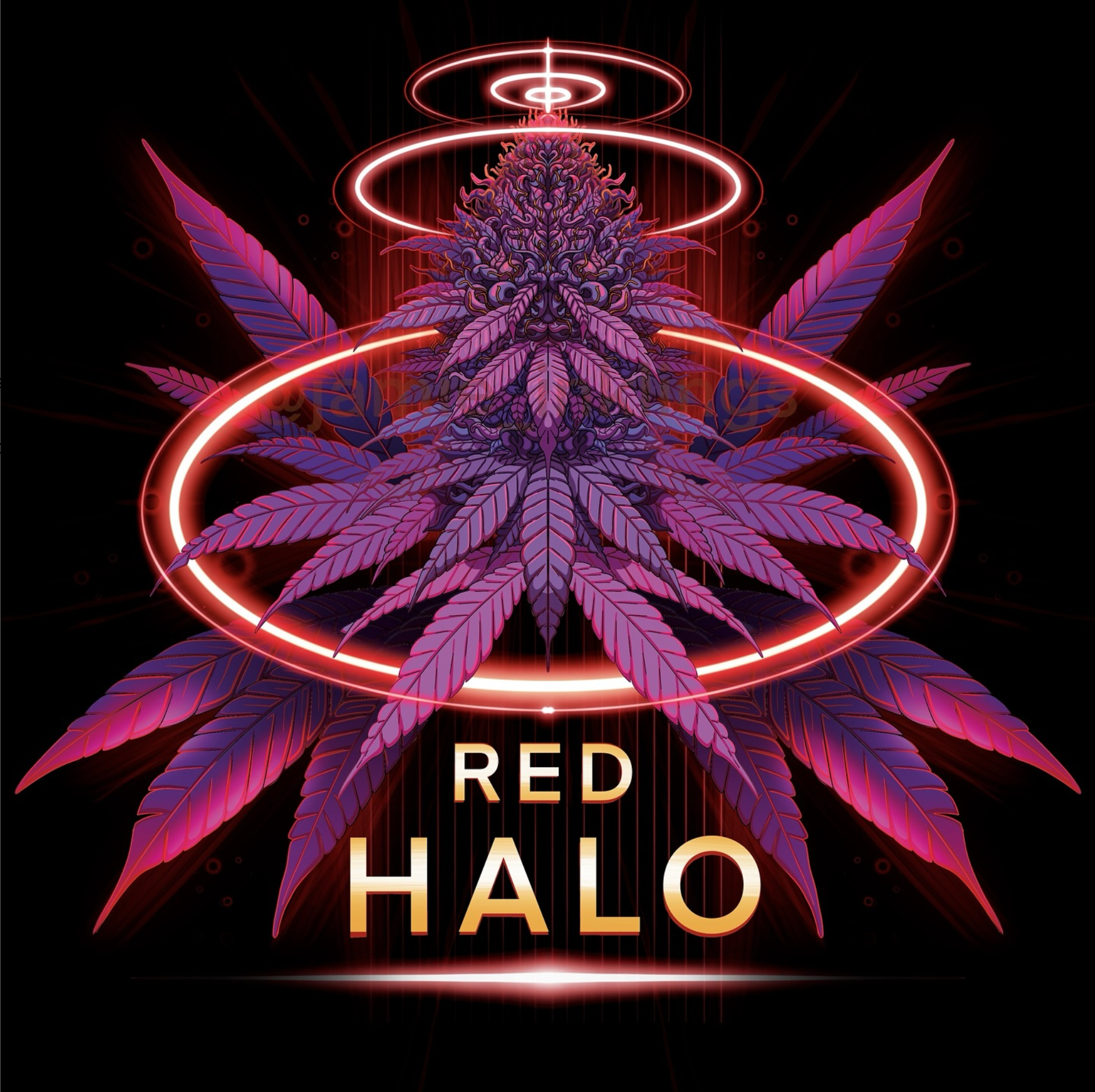Red Halo