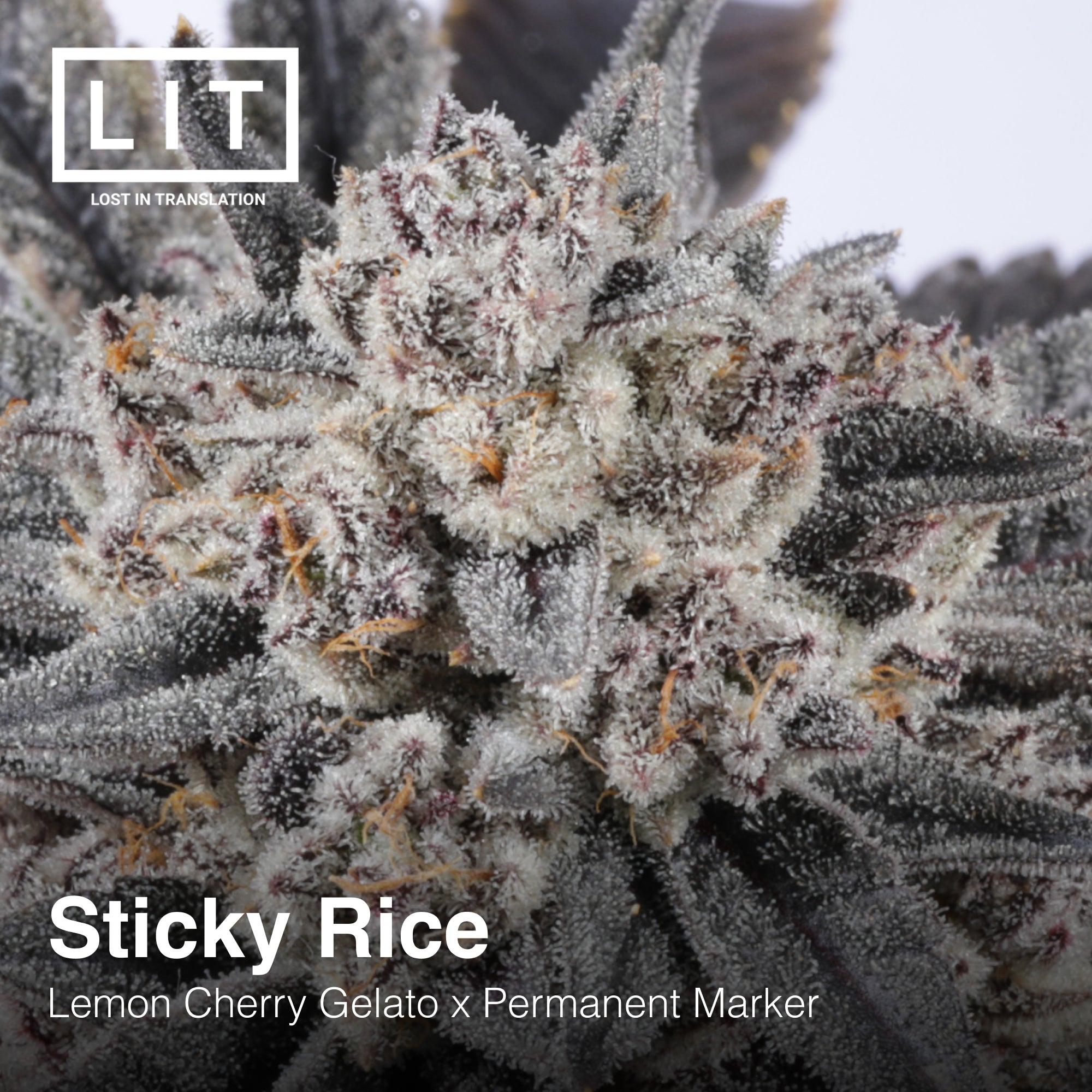 Sticky Rice