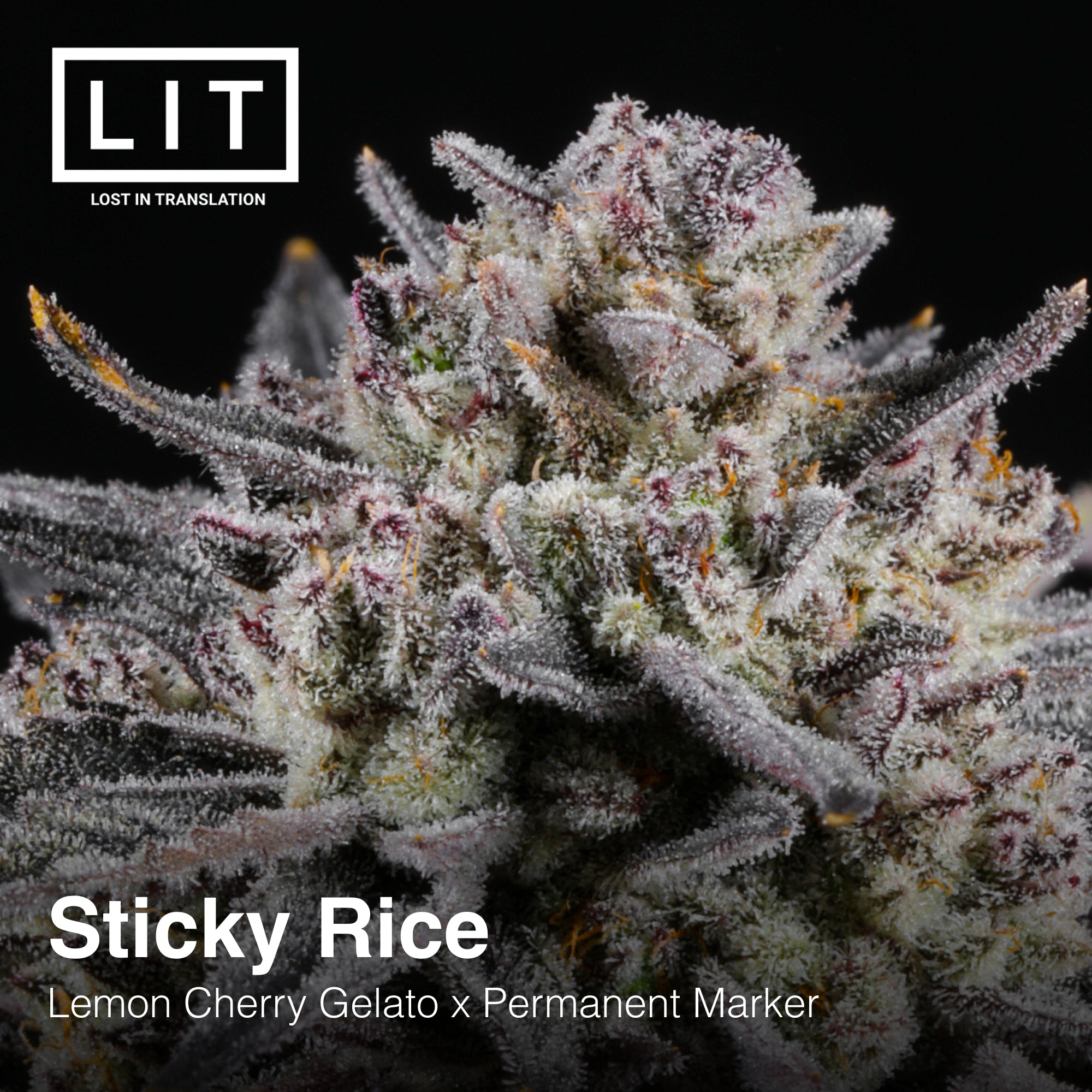 Sticky Rice