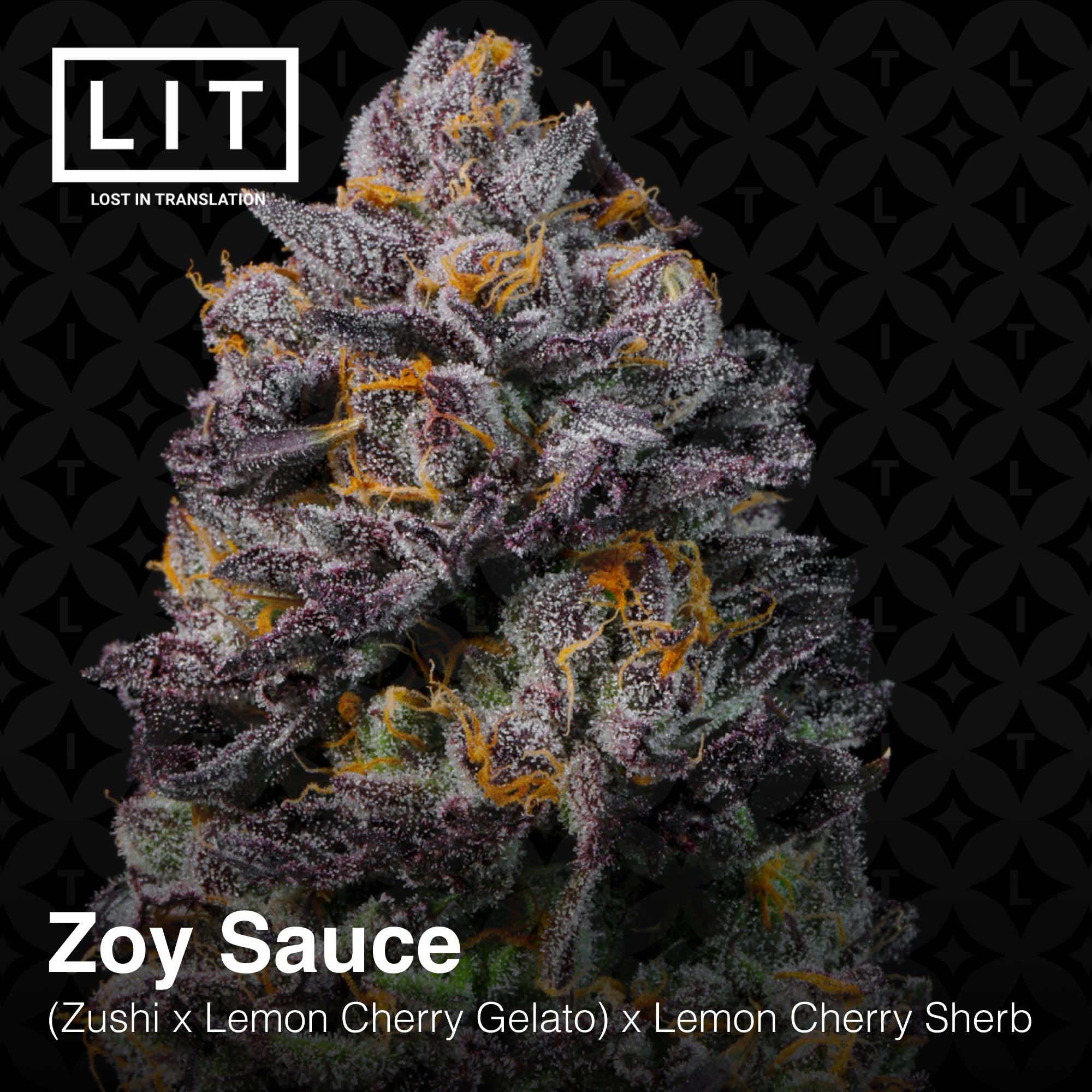 Zoy Sauce