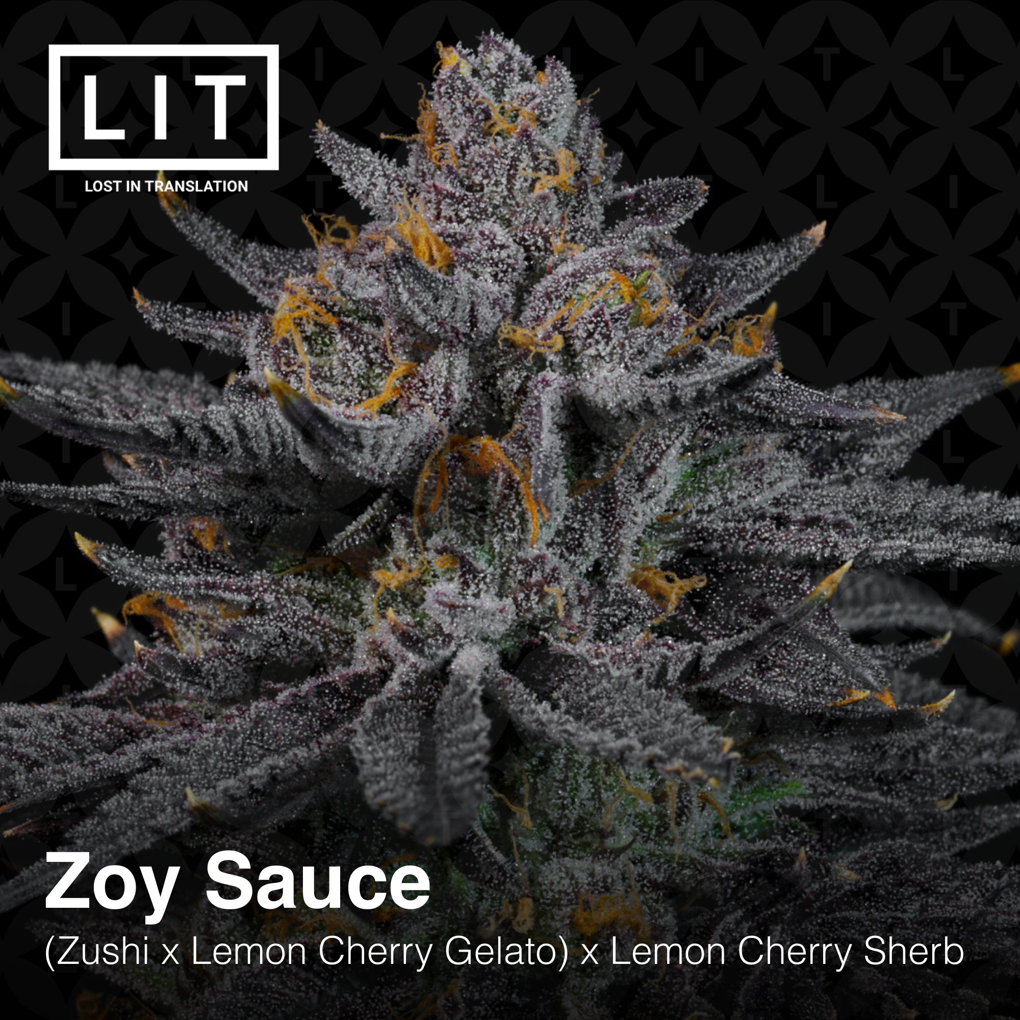 Zoy Sauce
