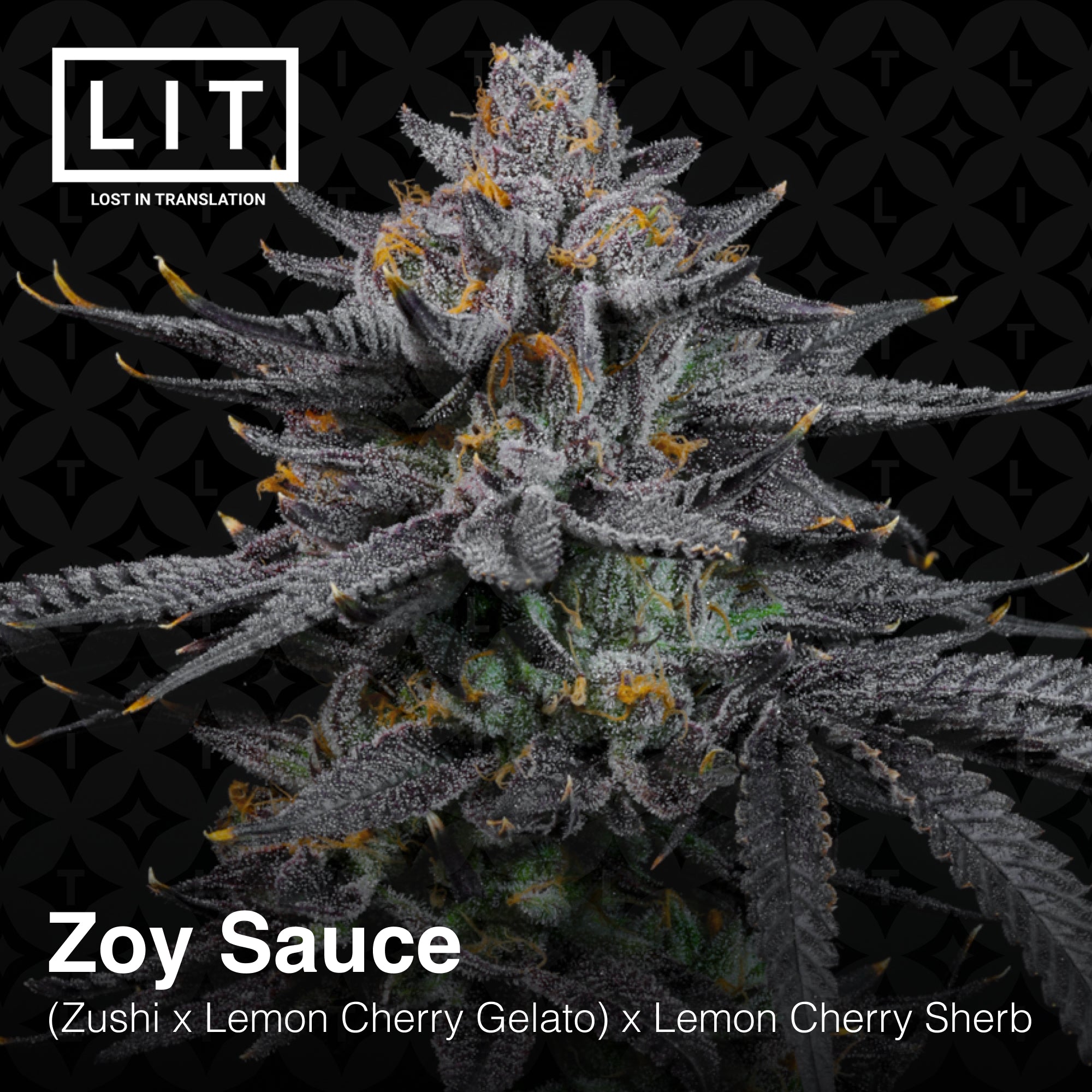 Zoy Sauce