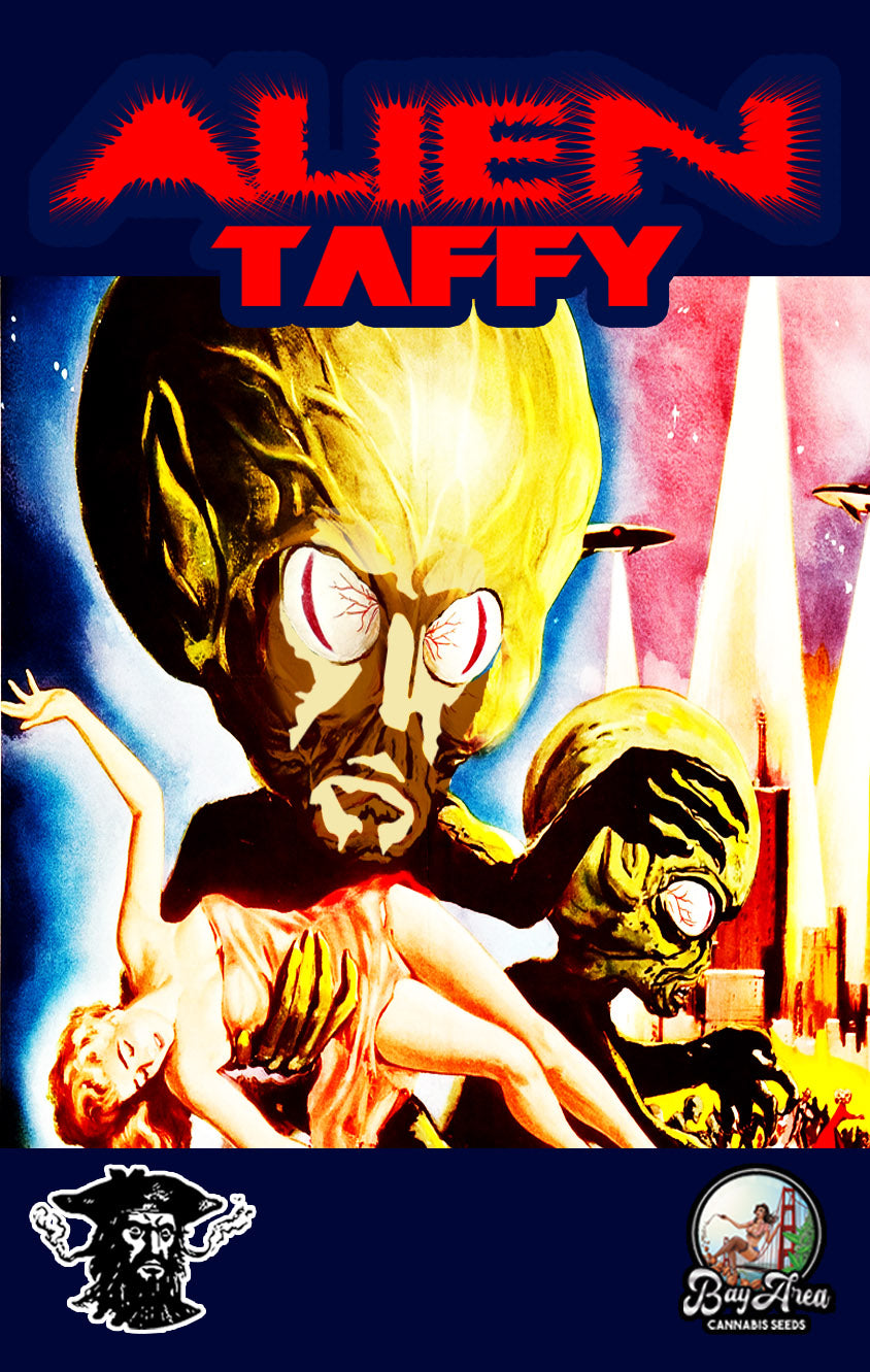 Alien Taffy (Bay Area Seeds collab)