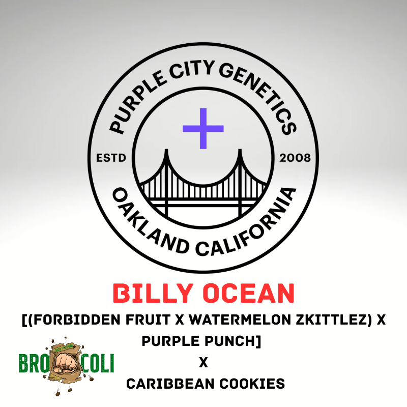Billy Ocean