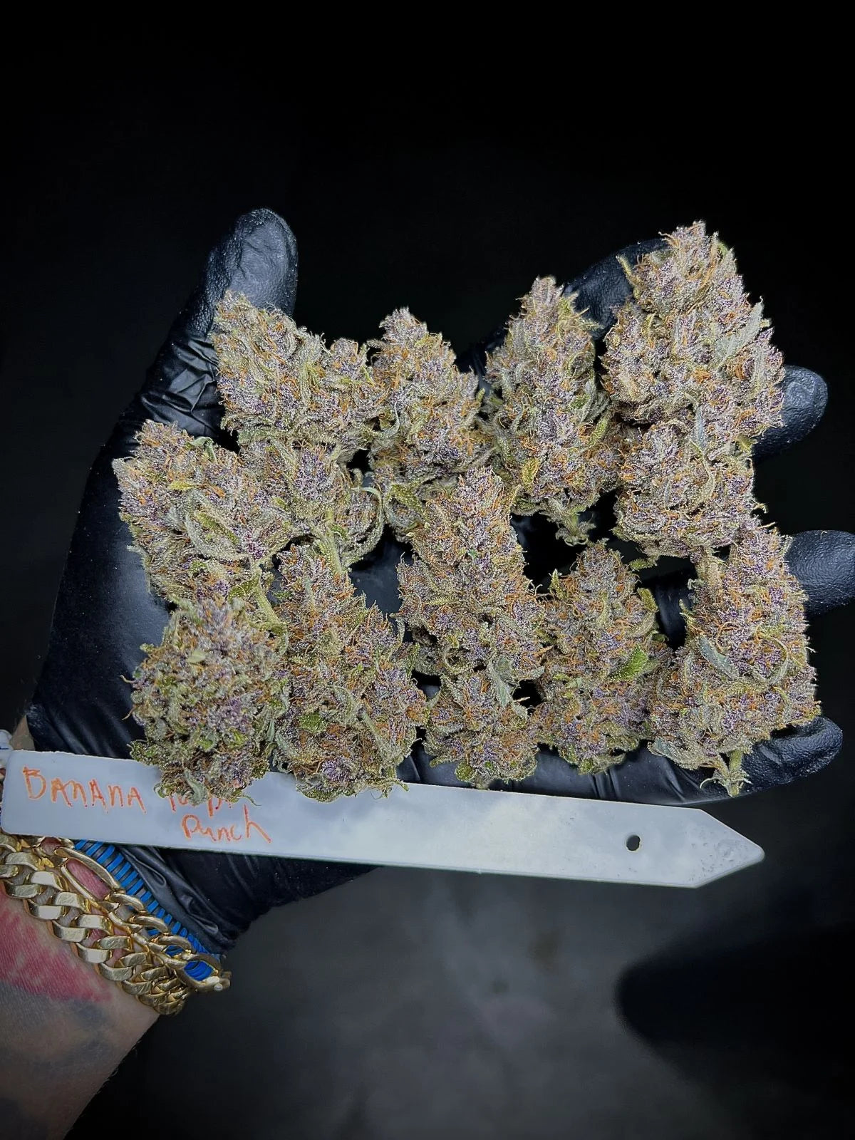 Banana Purple Punch Auto
