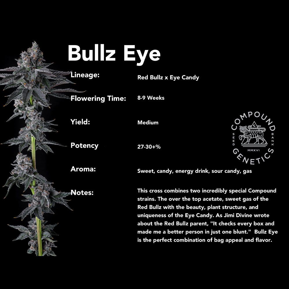 Bullz Eye