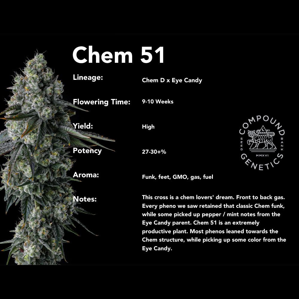 Chem 51