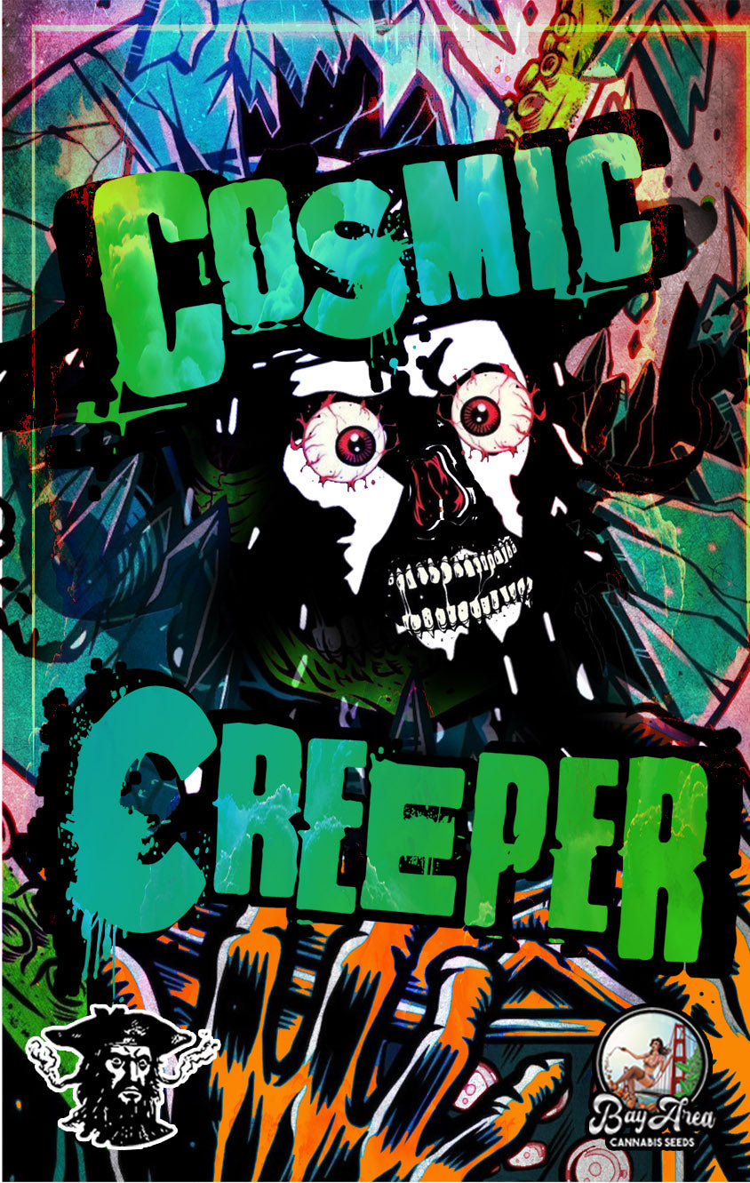 Cosmic Creeper (Bay Area Seeds collab)