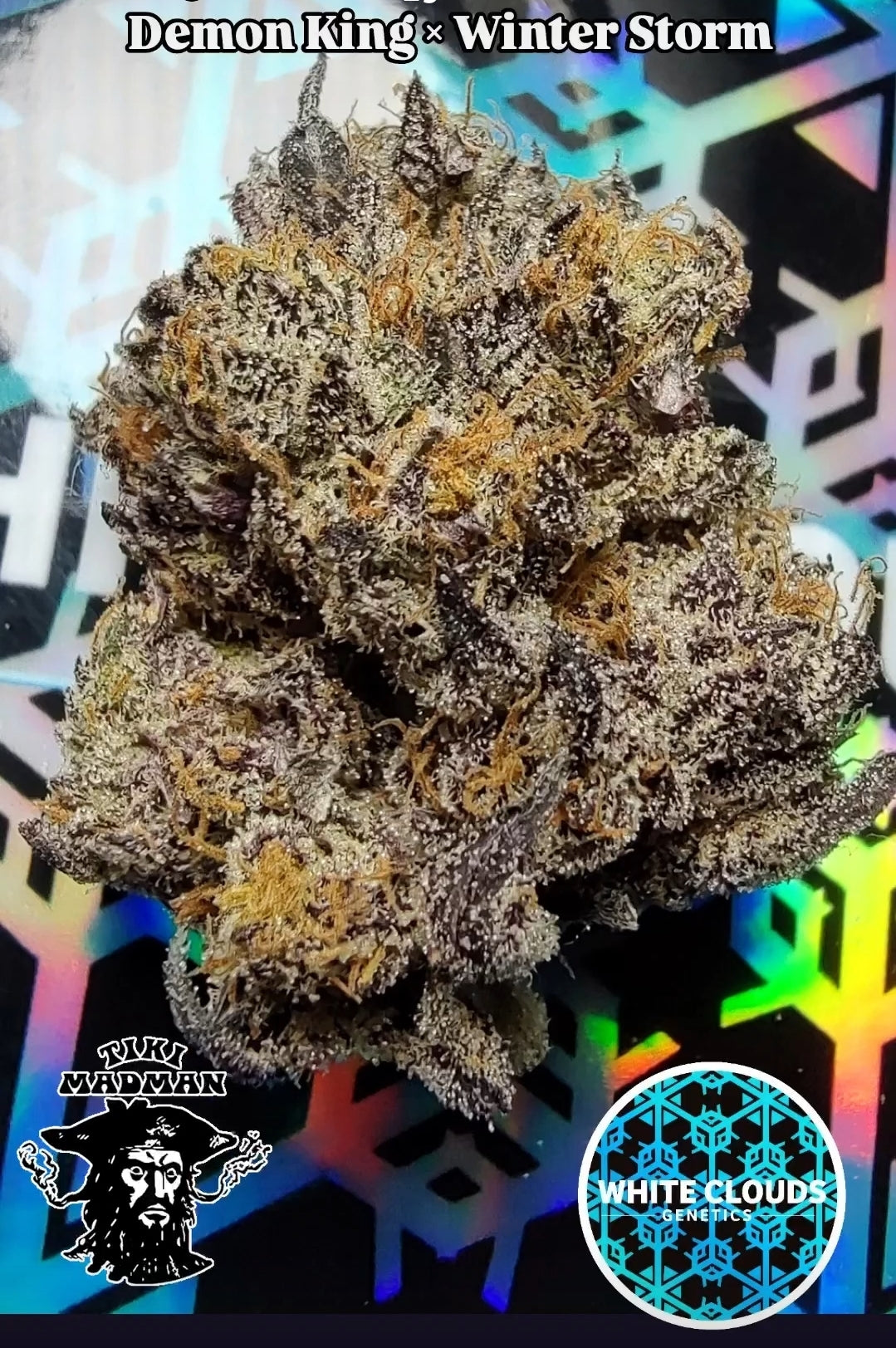 Demon King x Winter Storm