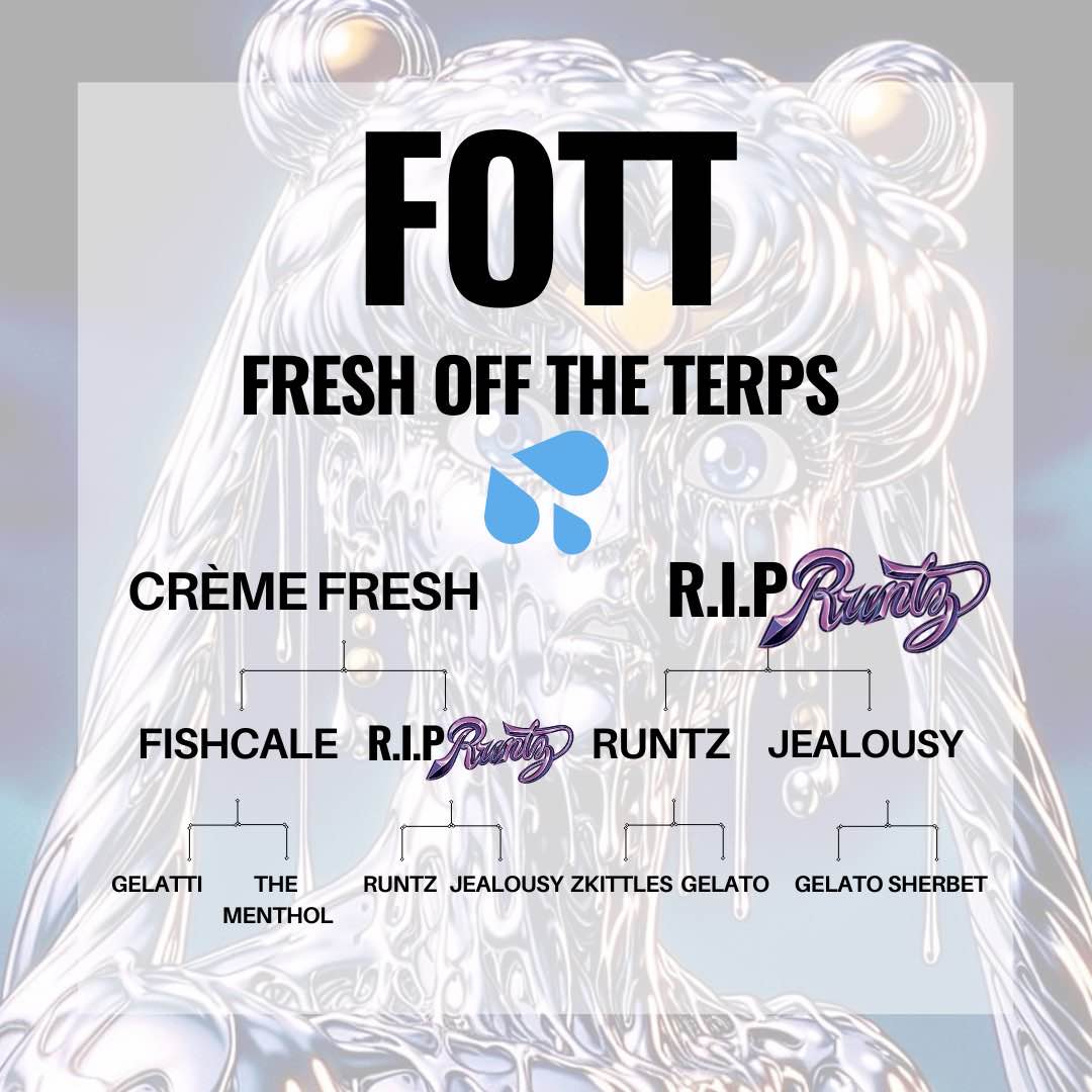 FOTT (Fresh Off The Terps)