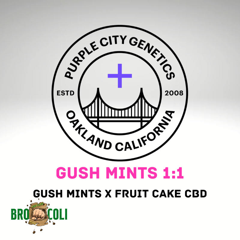 Gush Mints 1:1