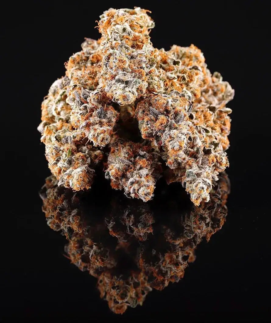 La Bomba