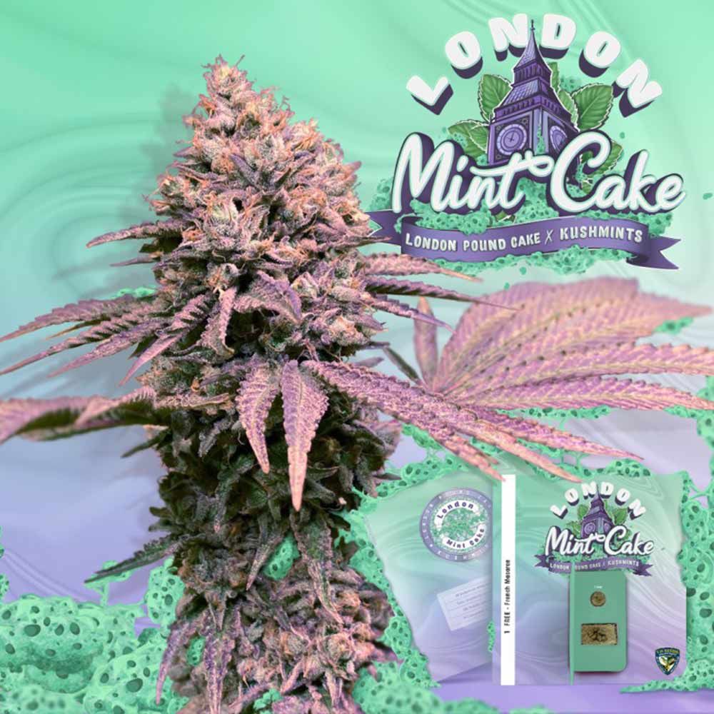 London Mint Cake