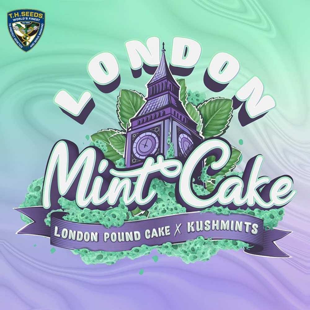London Mint Cake