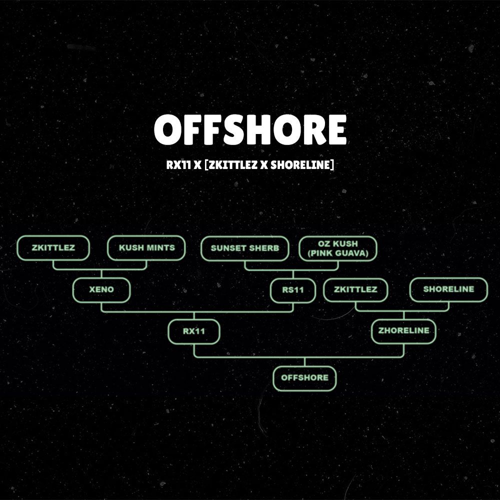 Offshore