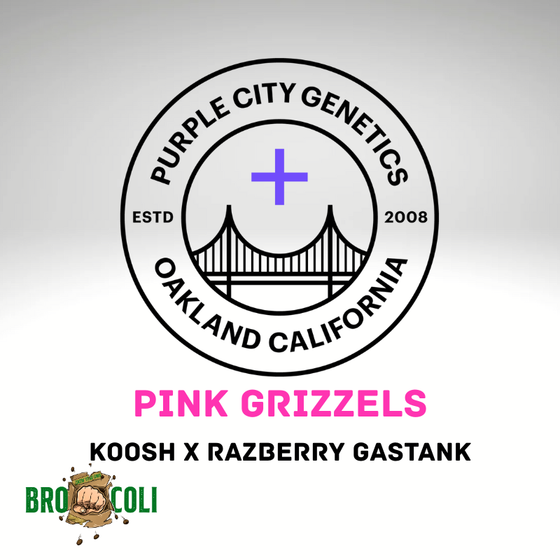 Pink Grizzels Auto