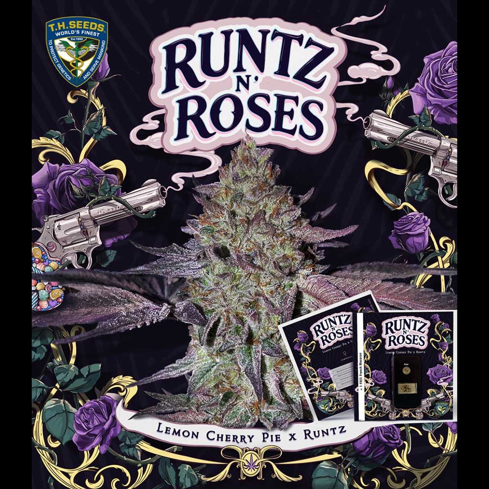 Runtz N' Roses
