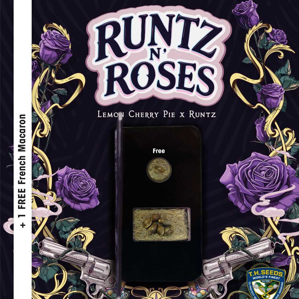 Runtz N' Roses