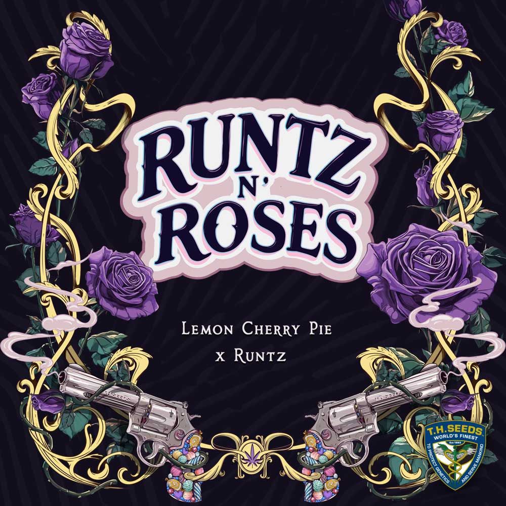 Runtz N' Roses