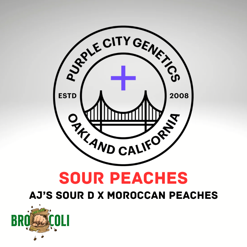 Sour Peaches