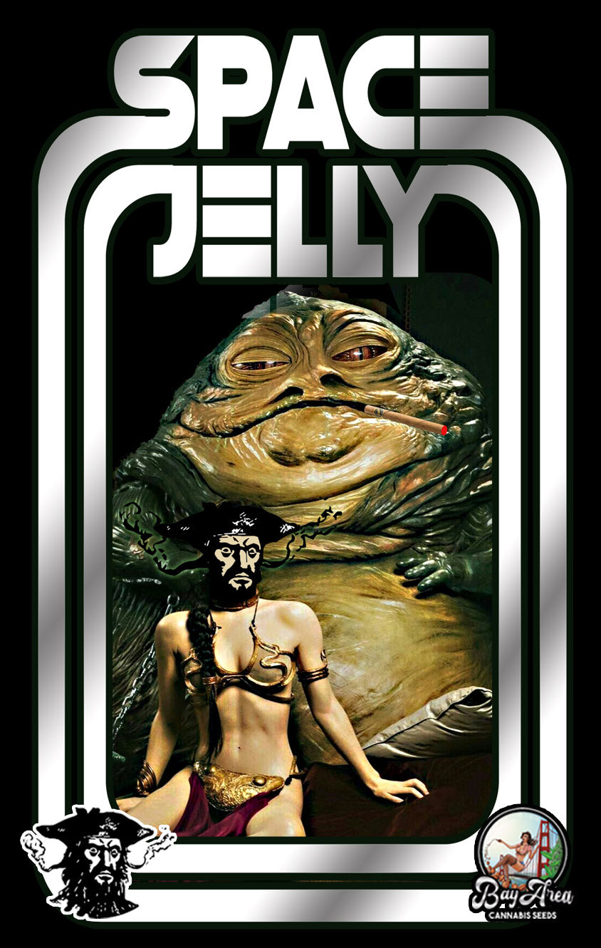 Space Jelly (Bay Area Seeds collab)
