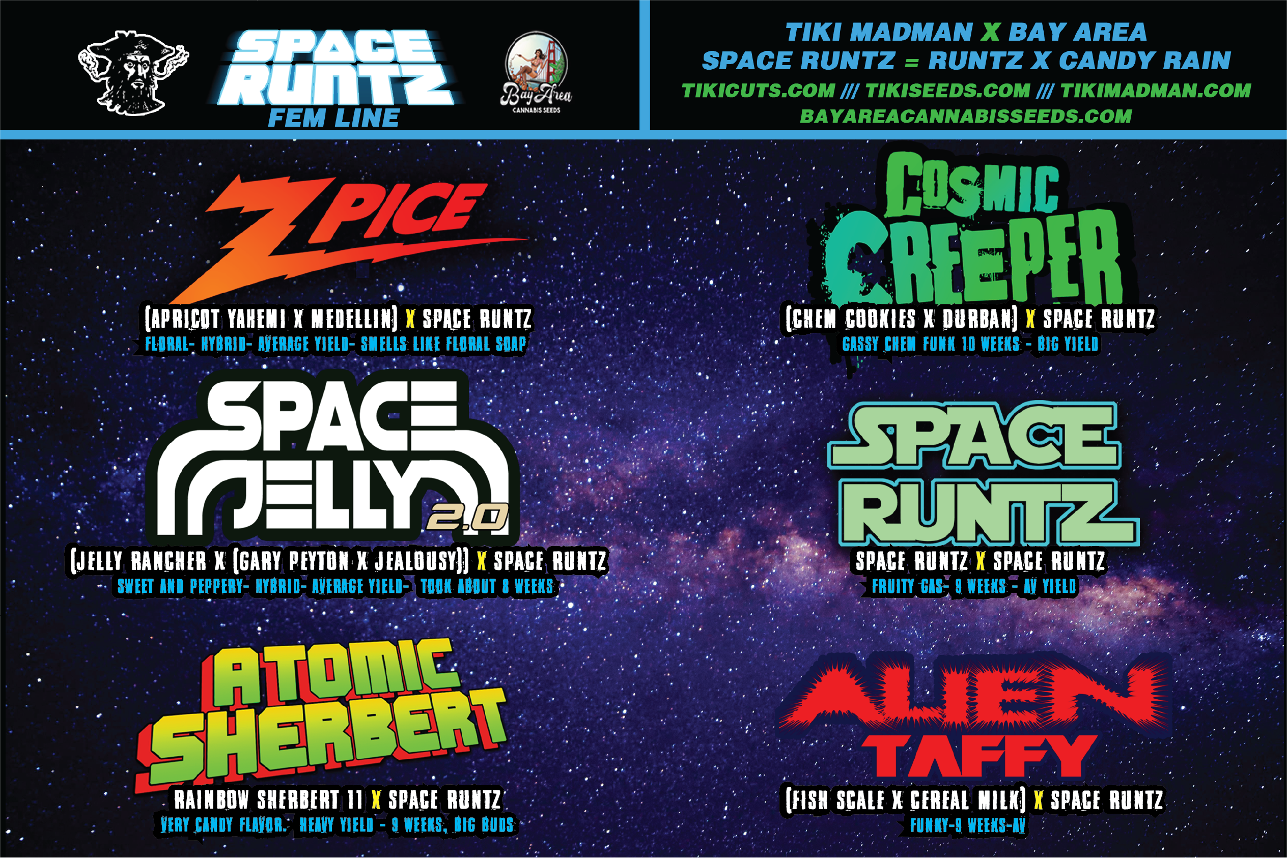 Space Jelly (Bay Area Seeds collab)