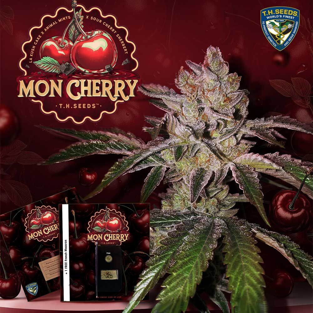 Mon Cherry