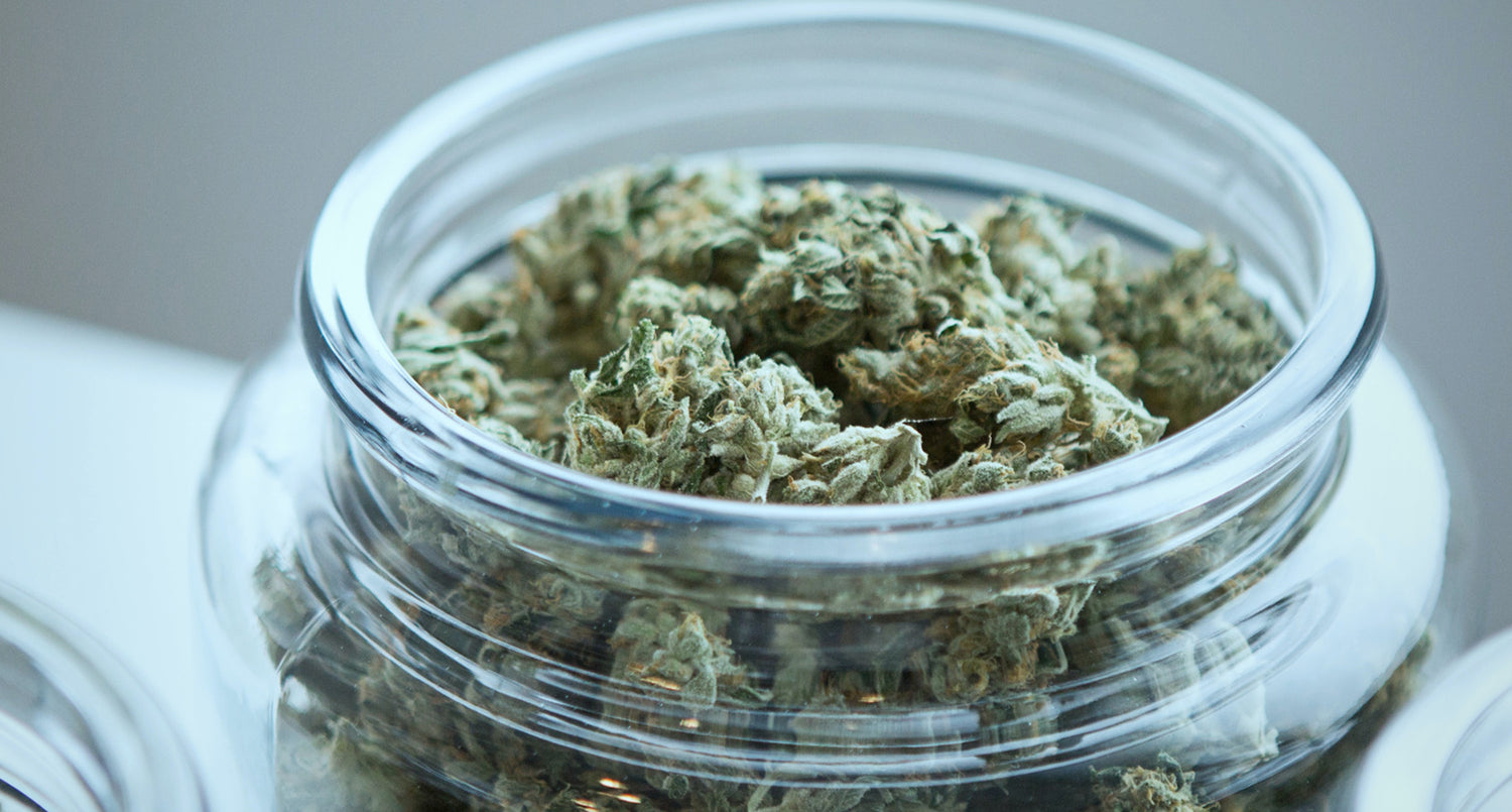 How to Keep Your Cannabis Buds Fresh: A BRO Guide