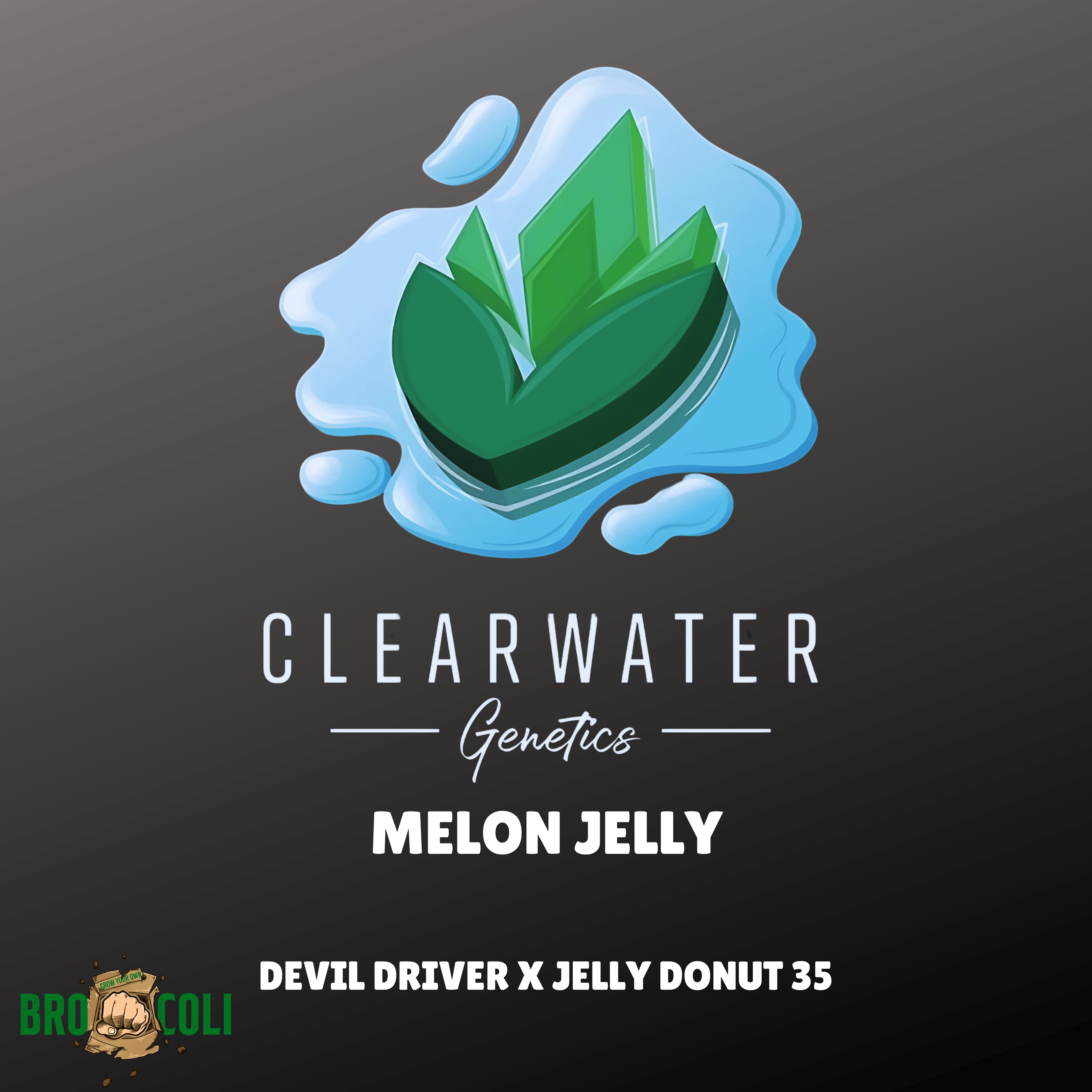 Melon Jelly