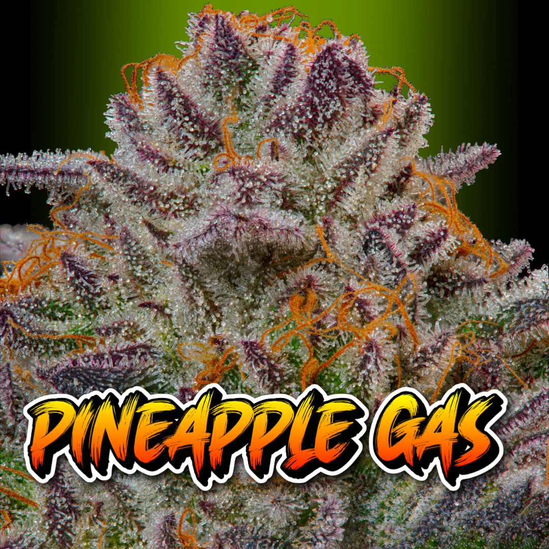 Pineapple Gas