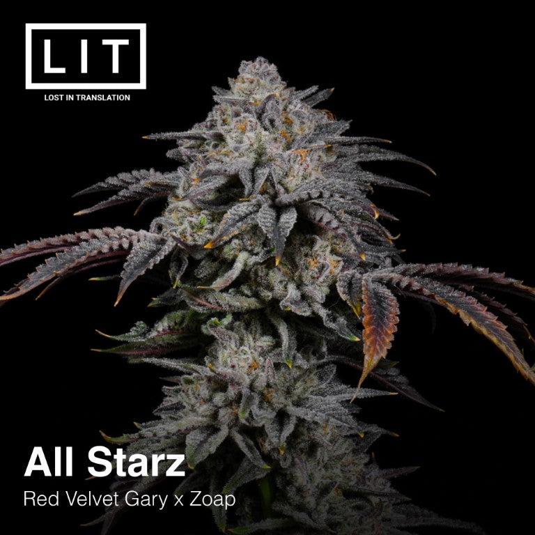 All Starz