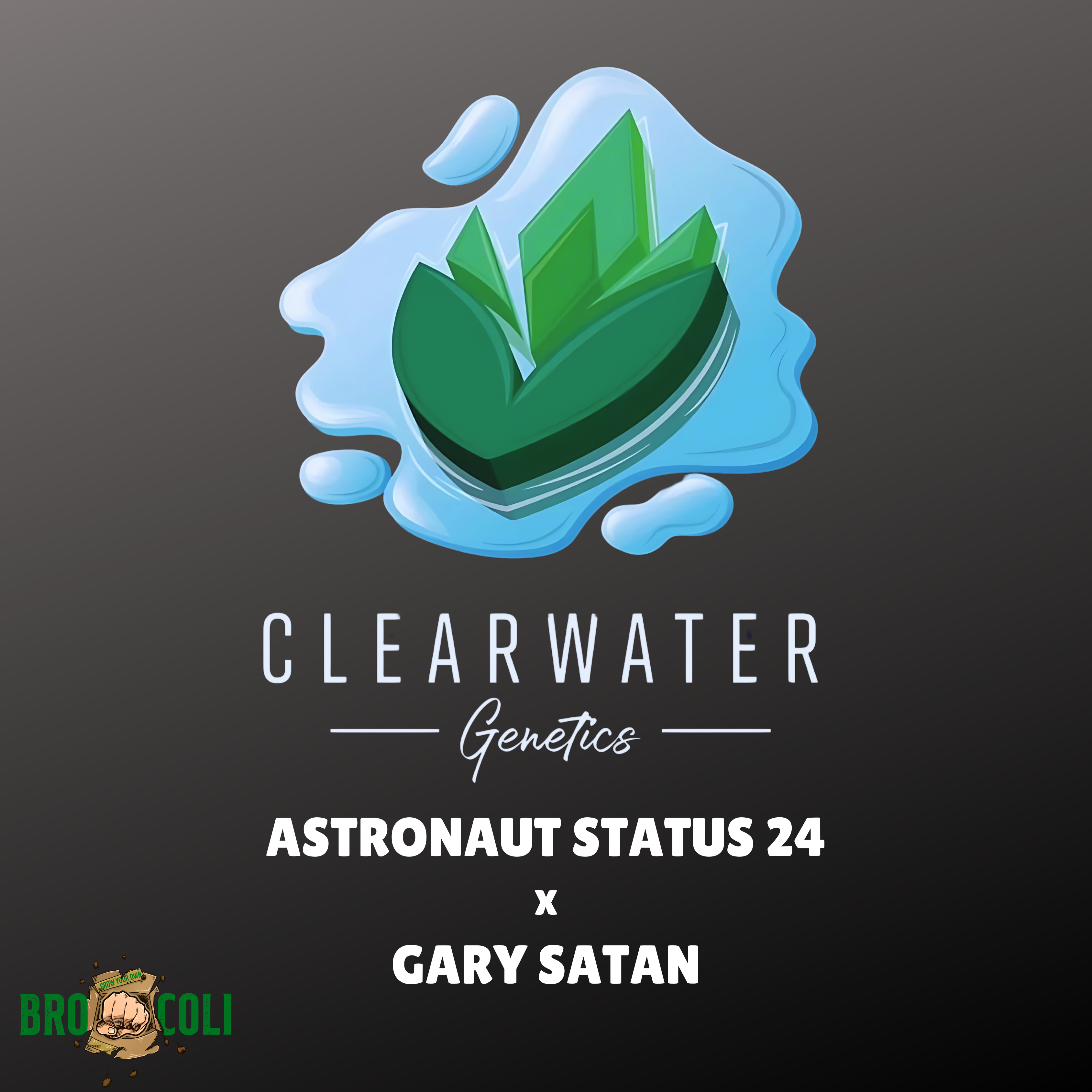 Astronaut Status #24 x Gary Satan