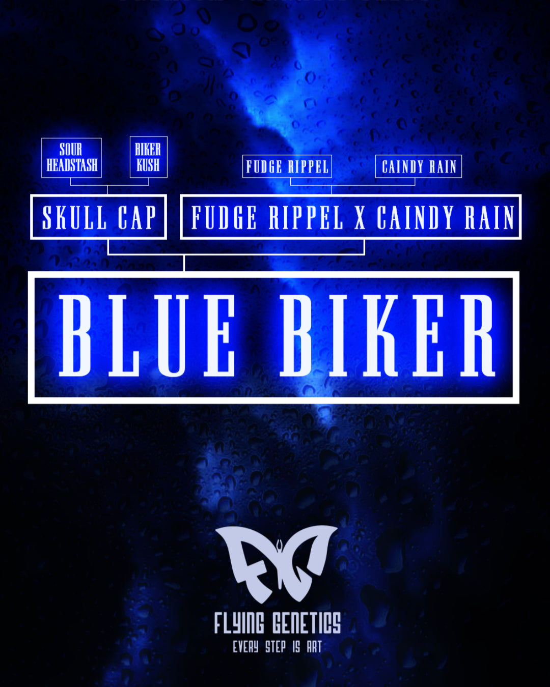 Blue Biker