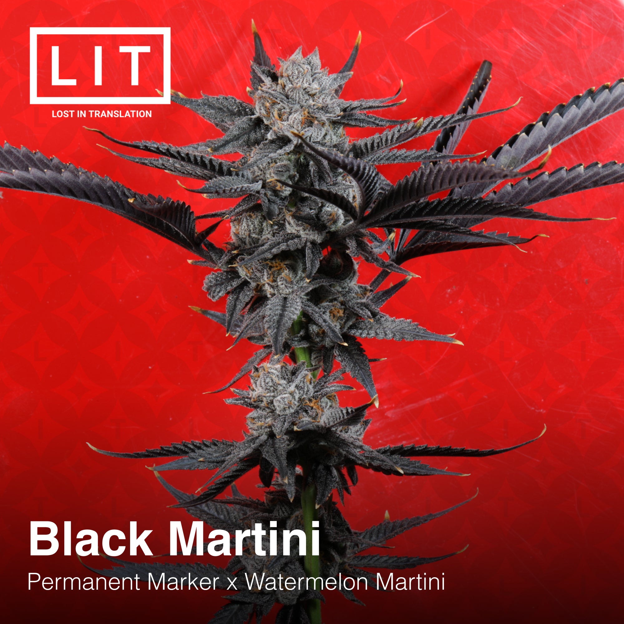 Black Martini