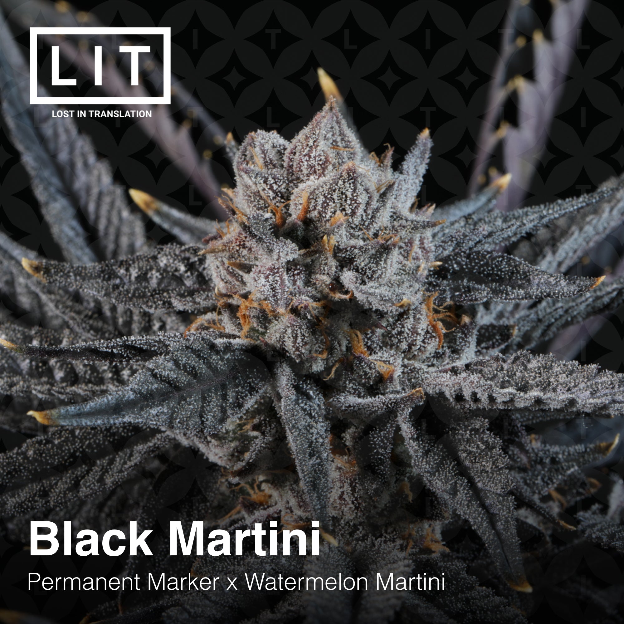 Black Martini