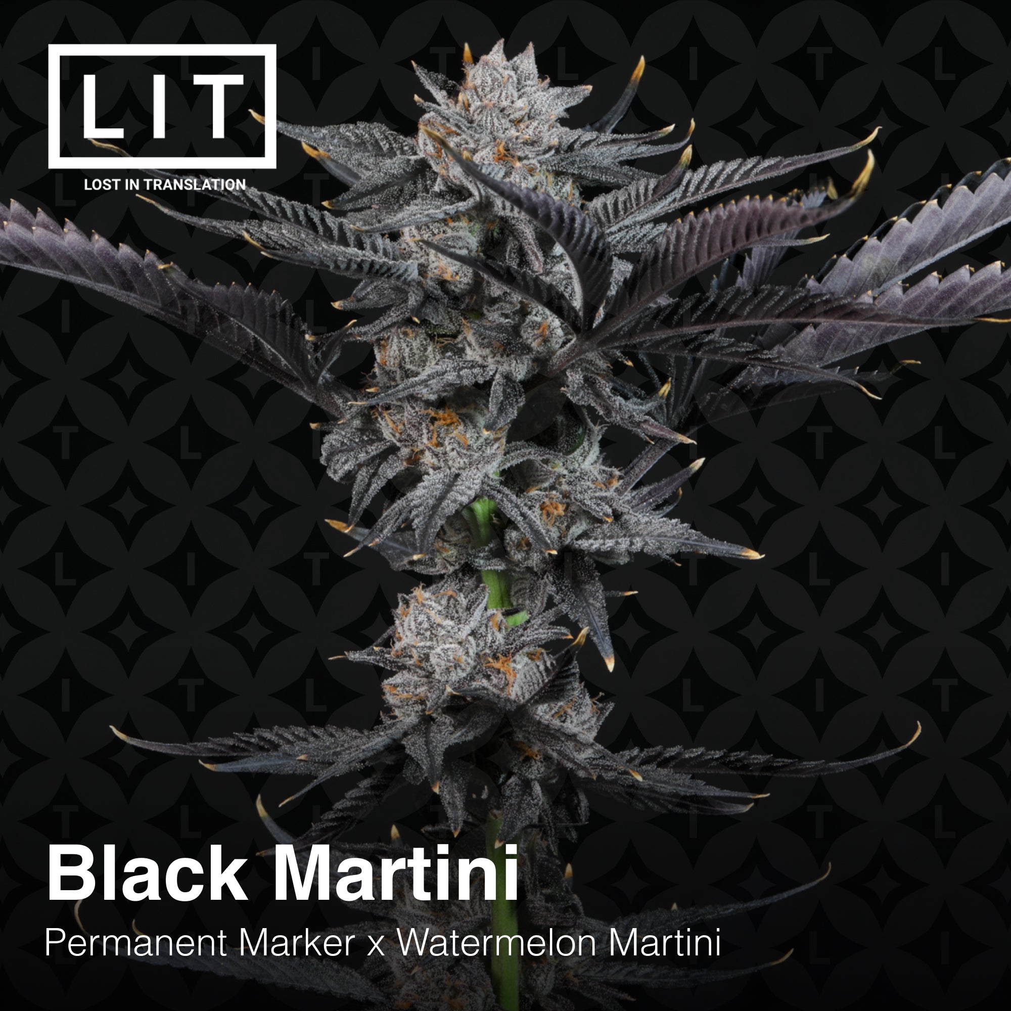 Black Martini