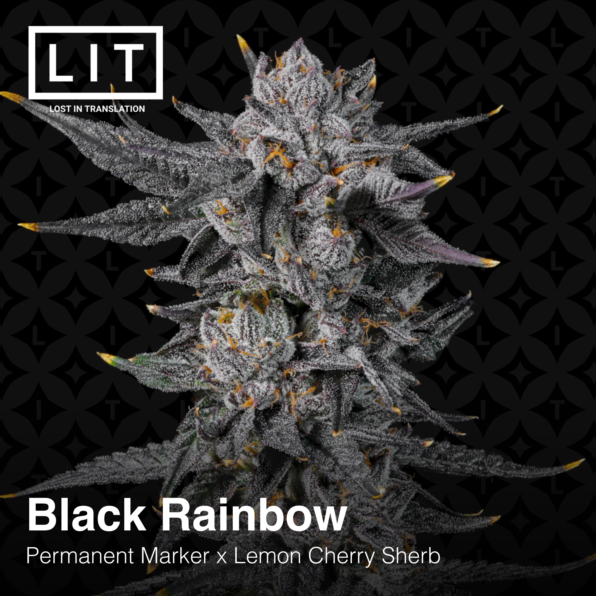 Black Rainbow