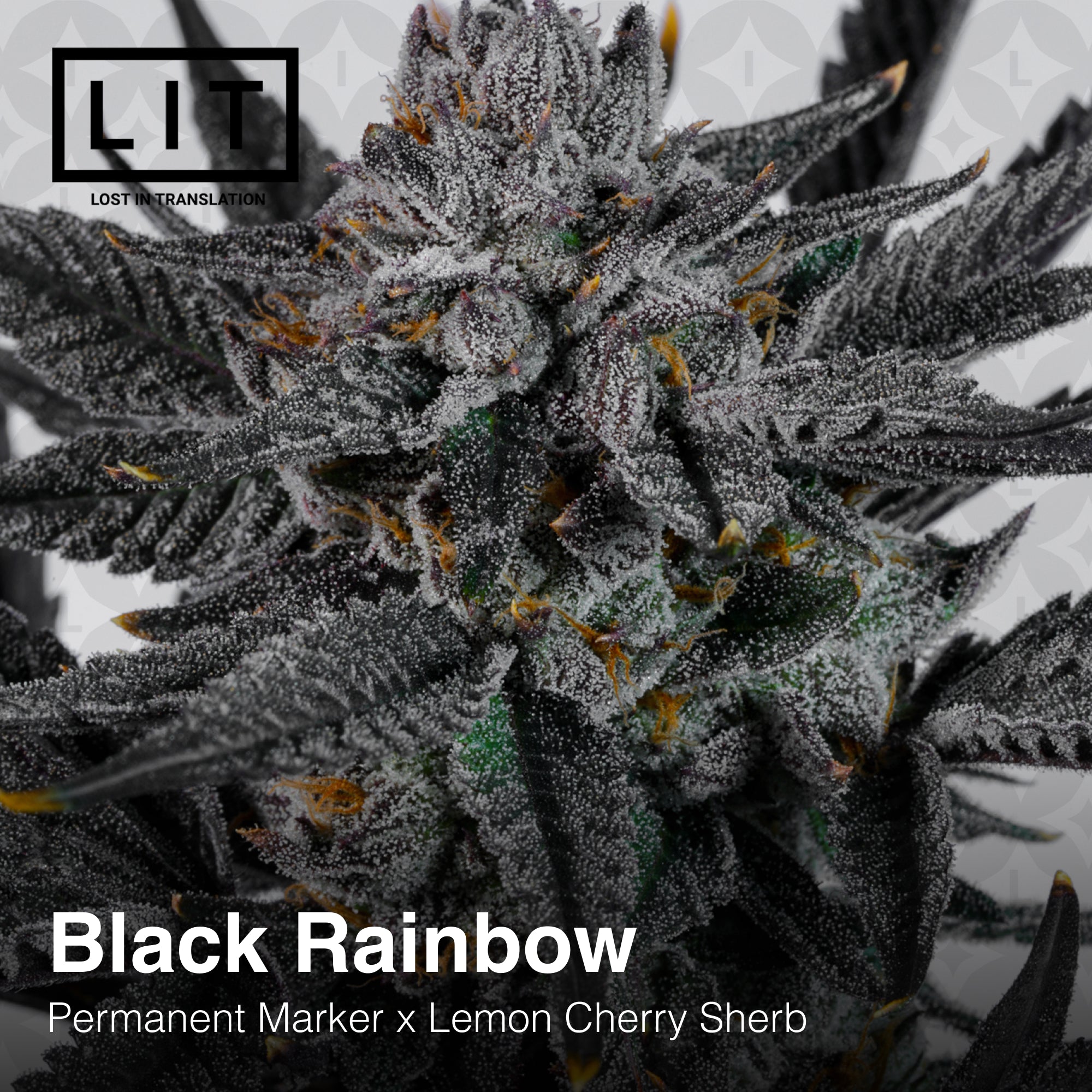 Black Rainbow